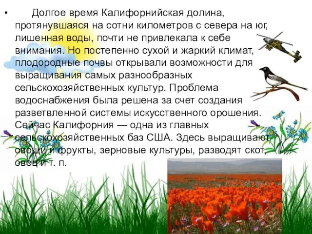 Долгое время Калифорнийская долина, протянувшаяся на сотни километров с севера на