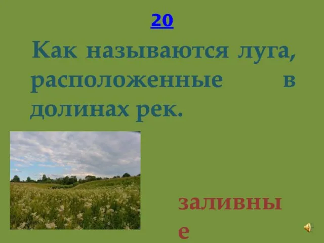 20 Как называются луга, расположенные в долинах рек. заливные