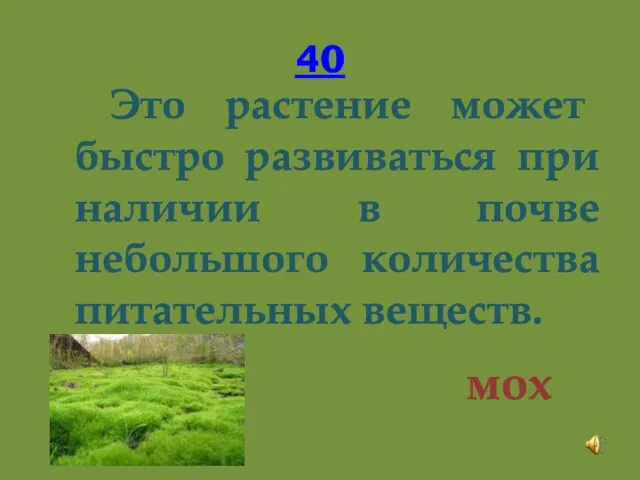 40 Это растение может быстро развиваться при наличии в почве небольшого количества питательных веществ. мох