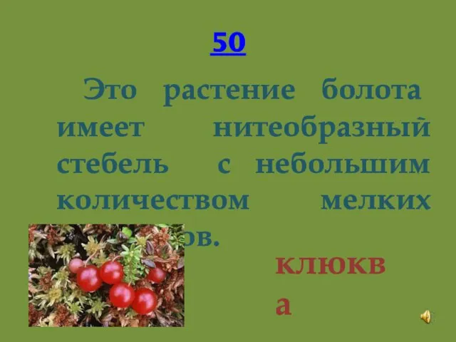 50 Это растение болота имеет нитеобразный стебель с небольшим количеством мелких листочков. клюква