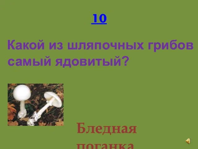 10 Какой из шляпочных грибов самый ядовитый? Бледная поганка