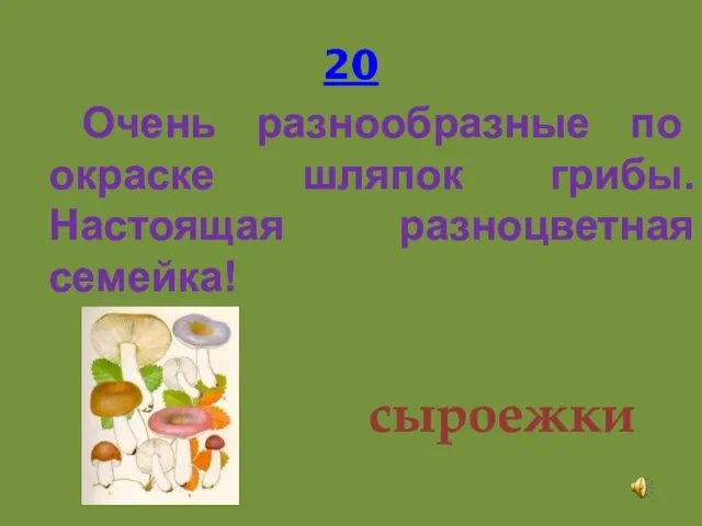 20 Очень разнообразные по окраске шляпок грибы. Настоящая разноцветная семейка! сыроежки