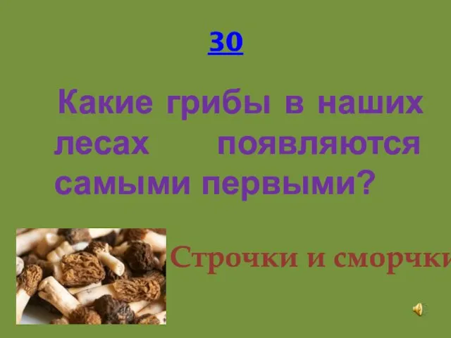 30 Какие грибы в наших лесах появляются самыми первыми? Строчки и сморчки