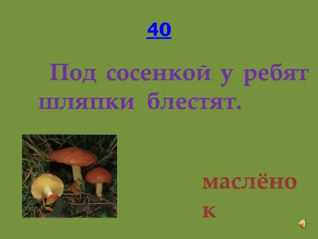 40 Под сосенкой у ребят шляпки блестят. маслёнок