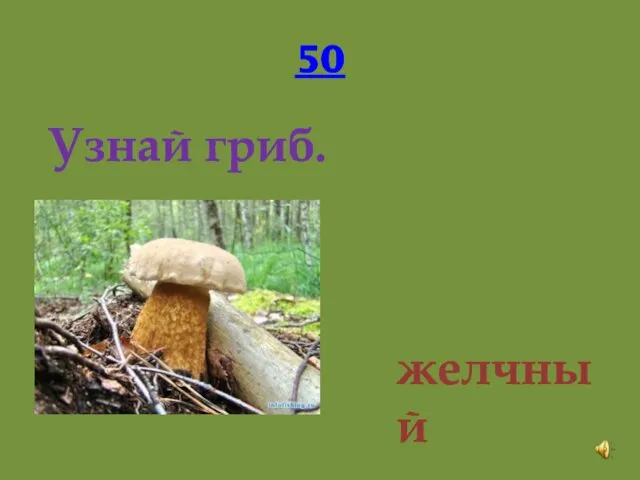 50 Узнай гриб. желчный