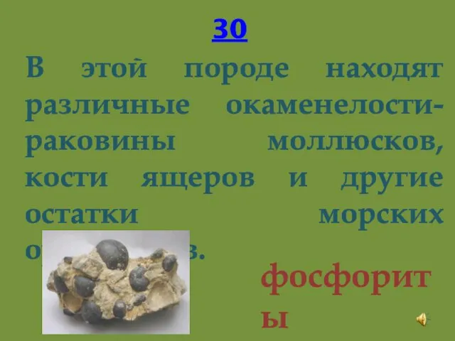 30 В этой породе находят различные окаменелости-раковины моллюсков, кости ящеров и другие остатки морских организмов. фосфориты