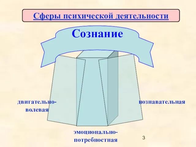 Сферы психической деятельности эмоционально-потребностная двигательно-волевая познавательная Сознание