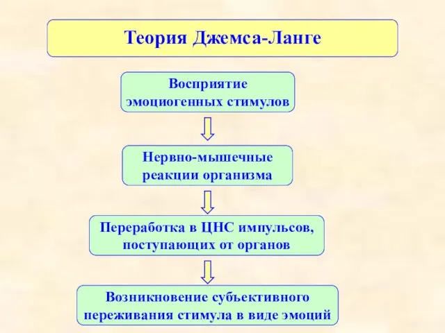 Теория Джемса-Ланге Возникновение субъективного переживания стимула в виде эмоций Восприятие эмоциогенных