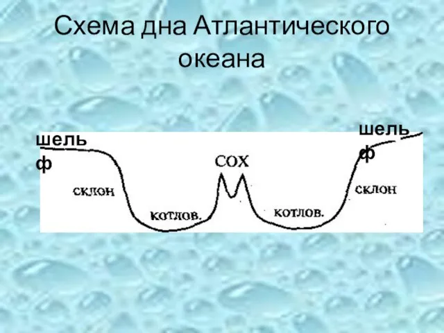 Схема дна Атлантического океана шельф шельф