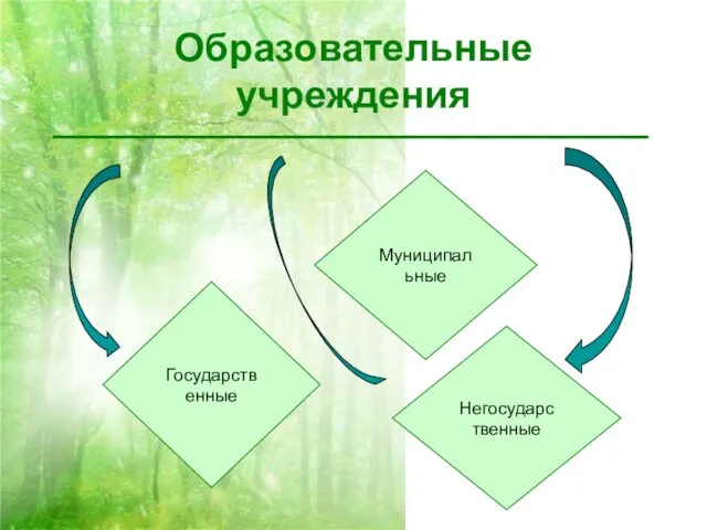 Образовательные учреждения Государственные Муниципальные Негосударственные