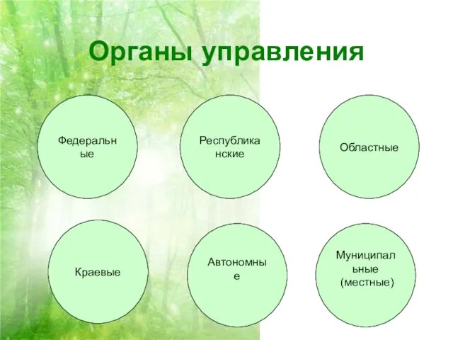 Органы управления Федеральные Республиканские Областные Краевые Автономные Муниципальные (местные)