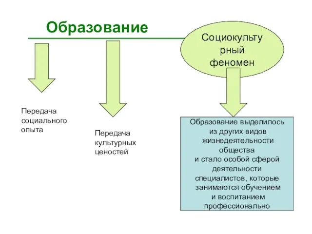 Образование Социокультурный феномен Образование выделилось из других видов жизнедеятельности общества и