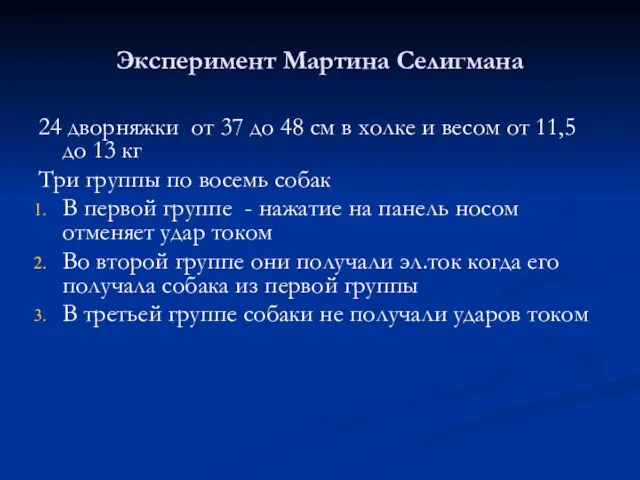 Эксперимент Мартина Селигмана 24 дворняжки от 37 до 48 см в