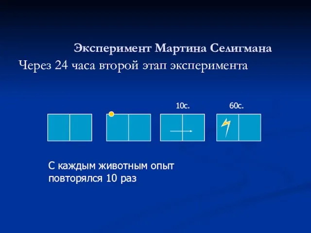 Через 24 часа второй этап эксперимента Эксперимент Мартина Селигмана 10с. 60с.