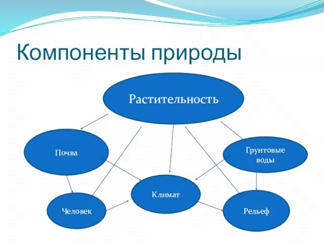 Компоненты природы Растительность Почва Климат Человек Грунтовые воды Рельеф