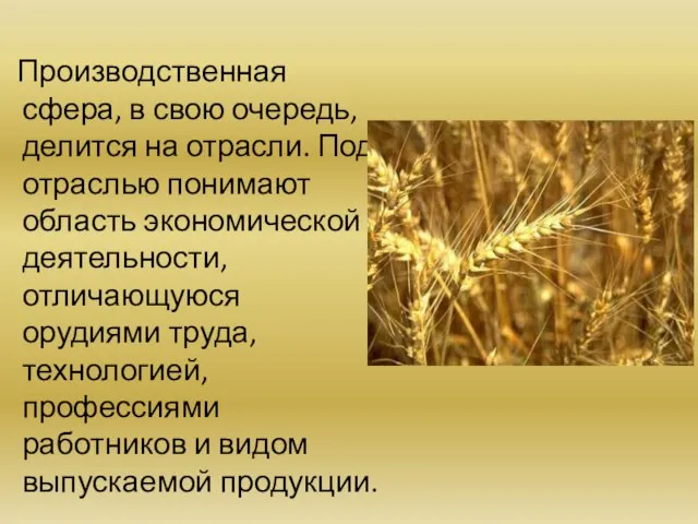 Производственная сфера, в свою очередь, делится на отрасли. Под отраслью понимают