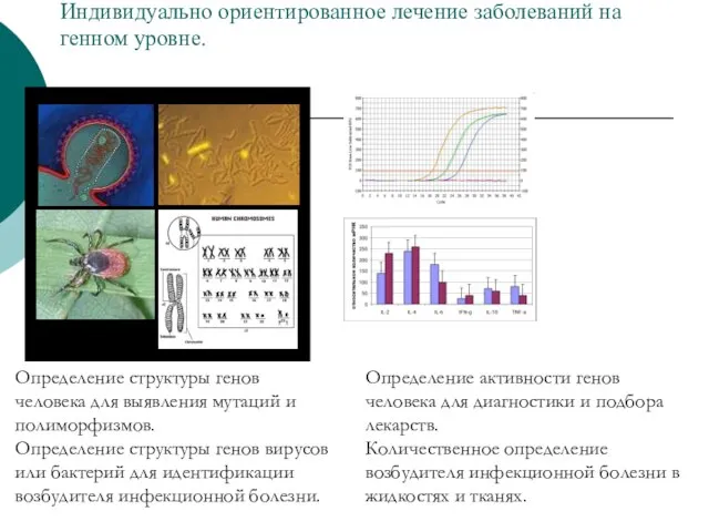 Индивидуально ориентированное лечение заболеваний на генном уровне. Определение структуры генов человека