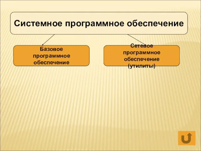 Системное программное обеспечение Базовое программное обеспечение Сетевое программное обеспечение (утилиты)