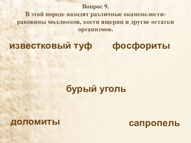 Вопрос 9. В этой породе находят различные окаменелости-раковины моллюсков, кости ящериц