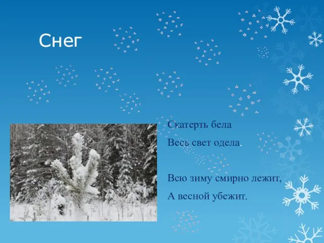 Снег Скатерть бела Весь свет одела. Всю зиму смирно лежит, А весной убежит.