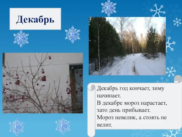 Декабрь Декабрь год кончает, зиму начинает. В декабре мороз нарастает, зато