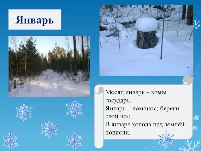 Январь Месяц январь – зимы государь. Январь – ломонос: береги свой