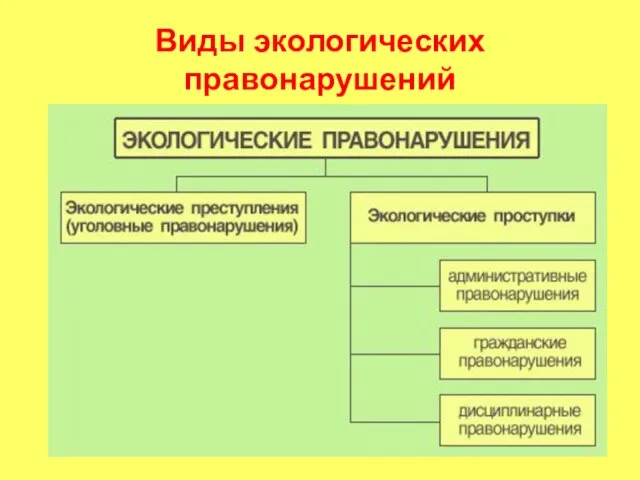 Виды экологических правонарушений