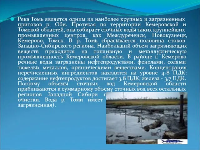 Река Томь является одним из наиболее крупных и загрязненных притоков р.