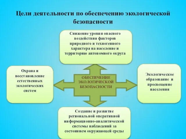 Цели деятельности по обеспечению экологической безопасности