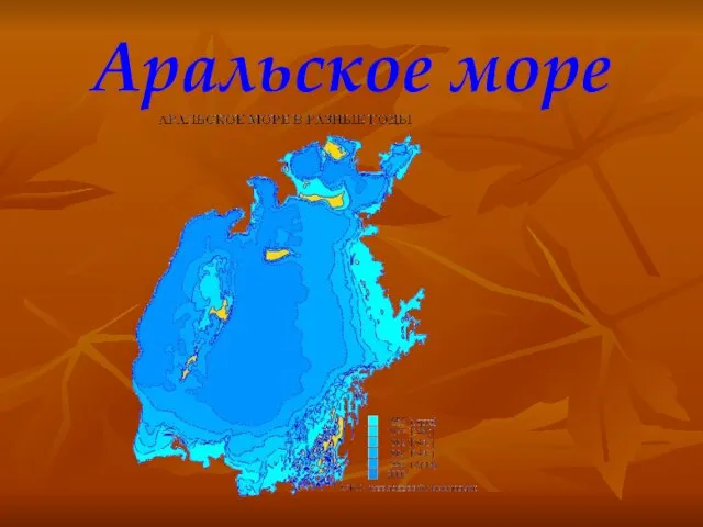 Аральское море