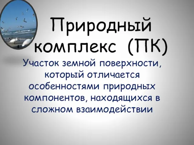 Природный комплекс (ПК) Участок земной поверхности, который отличается особенностями природных компонентов, находящихся в сложном взаимодействии