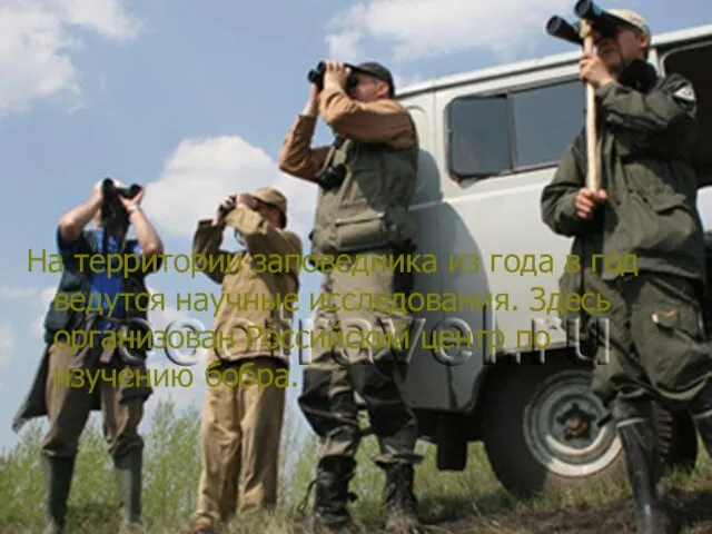 На территории заповедника из года в год ведутся научные исследования. Здесь