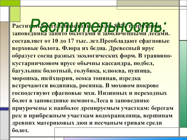 Растительность заповедника. Более 80% территории заповедника занято болотами и заболоченными лесами.