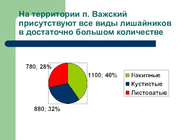 На территории п. Важский присутствуют все виды лишайников в достаточно большом количестве