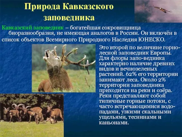 Природа Кавказского заповедника Это второй по величине горно-лесной заповедник Европы. Для