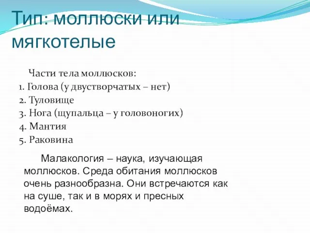 Тип: моллюски или мягкотелые Части тела моллюсков: 1. Голова (у двустворчатых