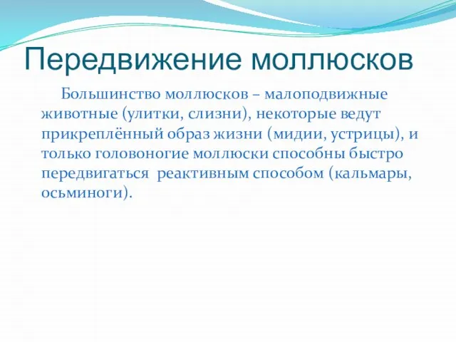 Передвижение моллюсков Большинство моллюсков – малоподвижные животные (улитки, слизни), некоторые ведут