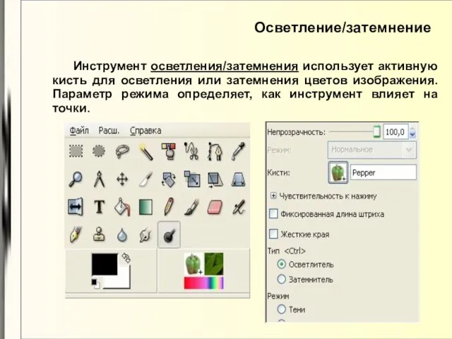 Осветление/затемнение Инструмент осветления/затемнения использует активную кисть для осветления или затемнения цветов