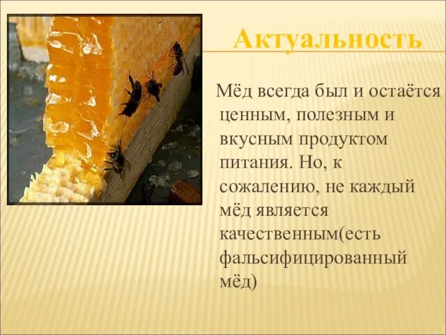 Мёд всегда был и остаётся ценным, полезным и вкусным продуктом питания.