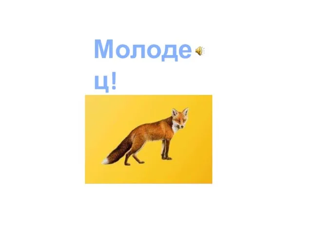 Молодец!