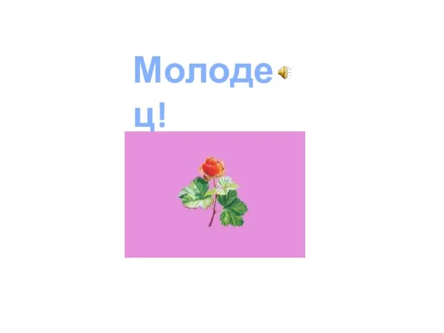 Молодец!