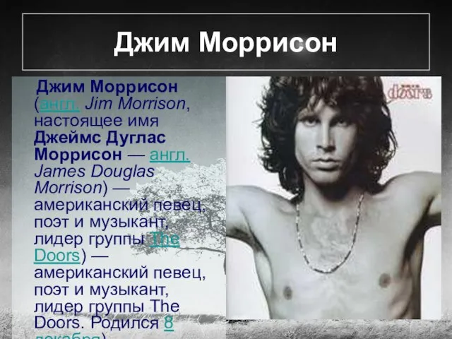 Джим Моррисон Джим Моррисон (англ. Jim Morrison, настоящее имя Джеймс Дуглас