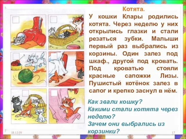 18.12.09 Котята. У кошки Клары родились котята. Через неделю у них