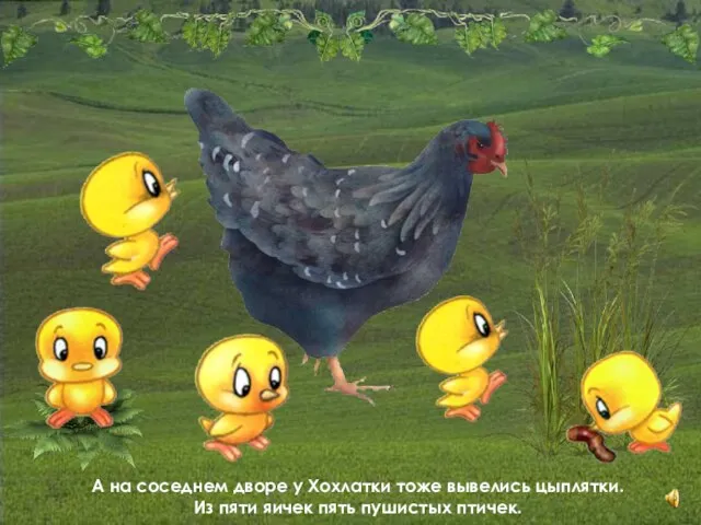 А на соседнем дворе у Хохлатки тоже вывелись цыплятки. Из пяти яичек пять пушистых птичек.