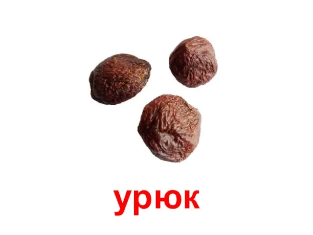 урюк