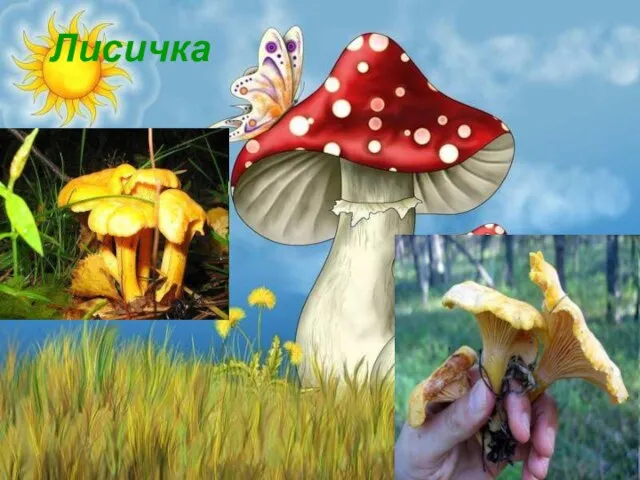 Лисичка