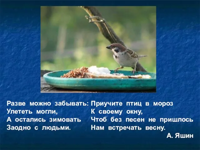 Разве можно забывать: Улететь могли, А остались зимовать Заодно с людьми.