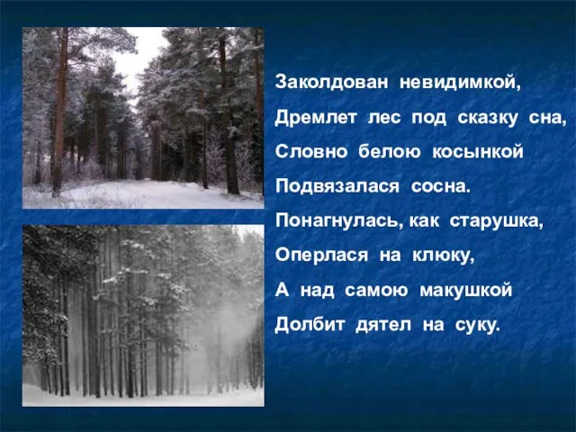 Заколдован невидимкой, Дремлет лес под сказку сна, Словно белою косынкой Подвязалася