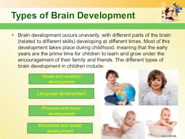 Types of Brain Development Brain development occurs unevenly, with different parts