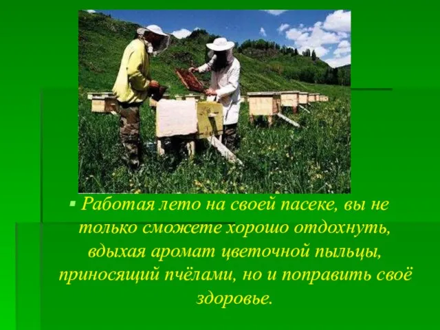 Работая лето на своей пасеке, вы не только сможете хорошо отдохнуть,